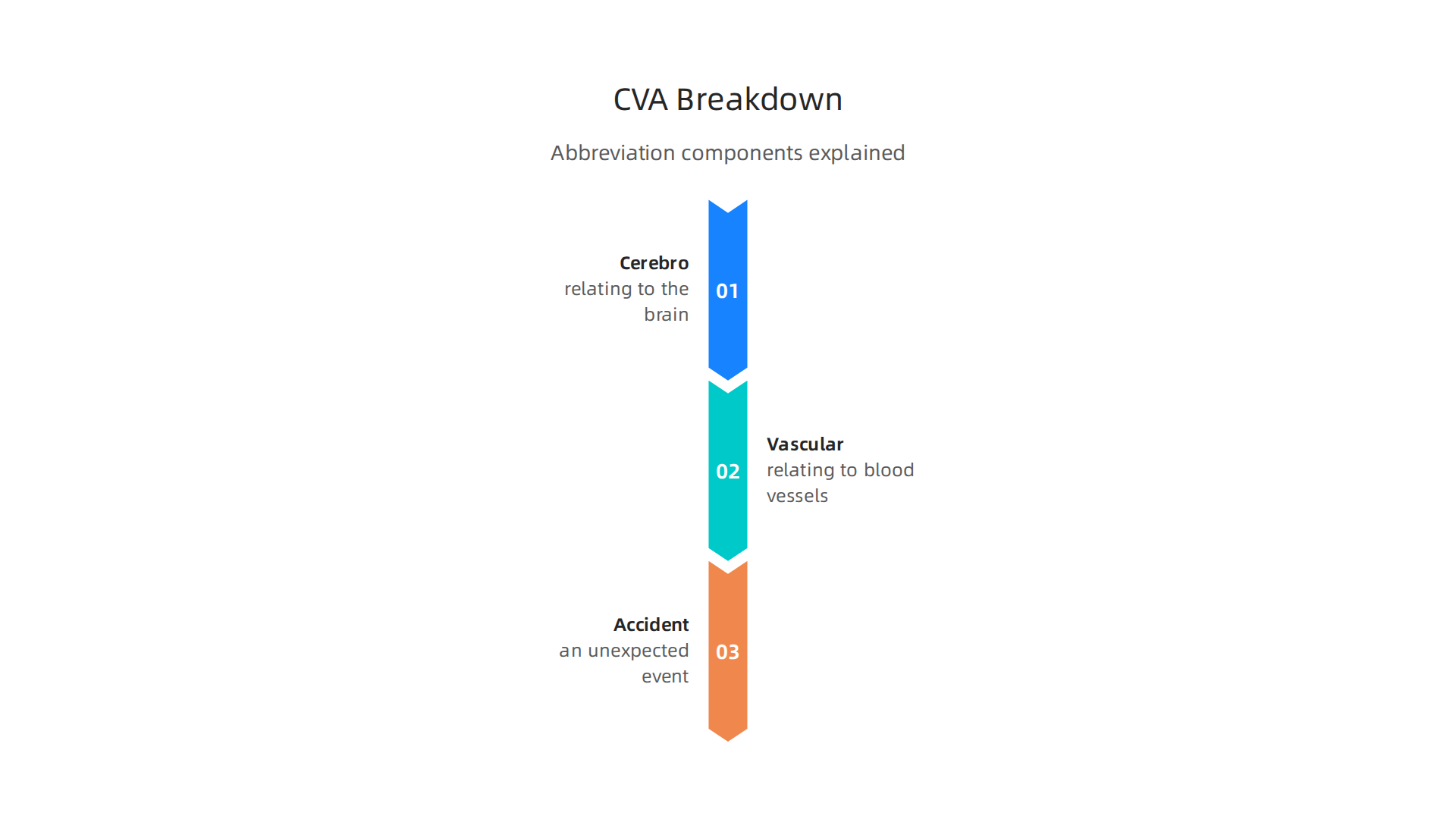 Visual breakdown of the CVA abbreviation: Cerebro, Vascular, Accident.