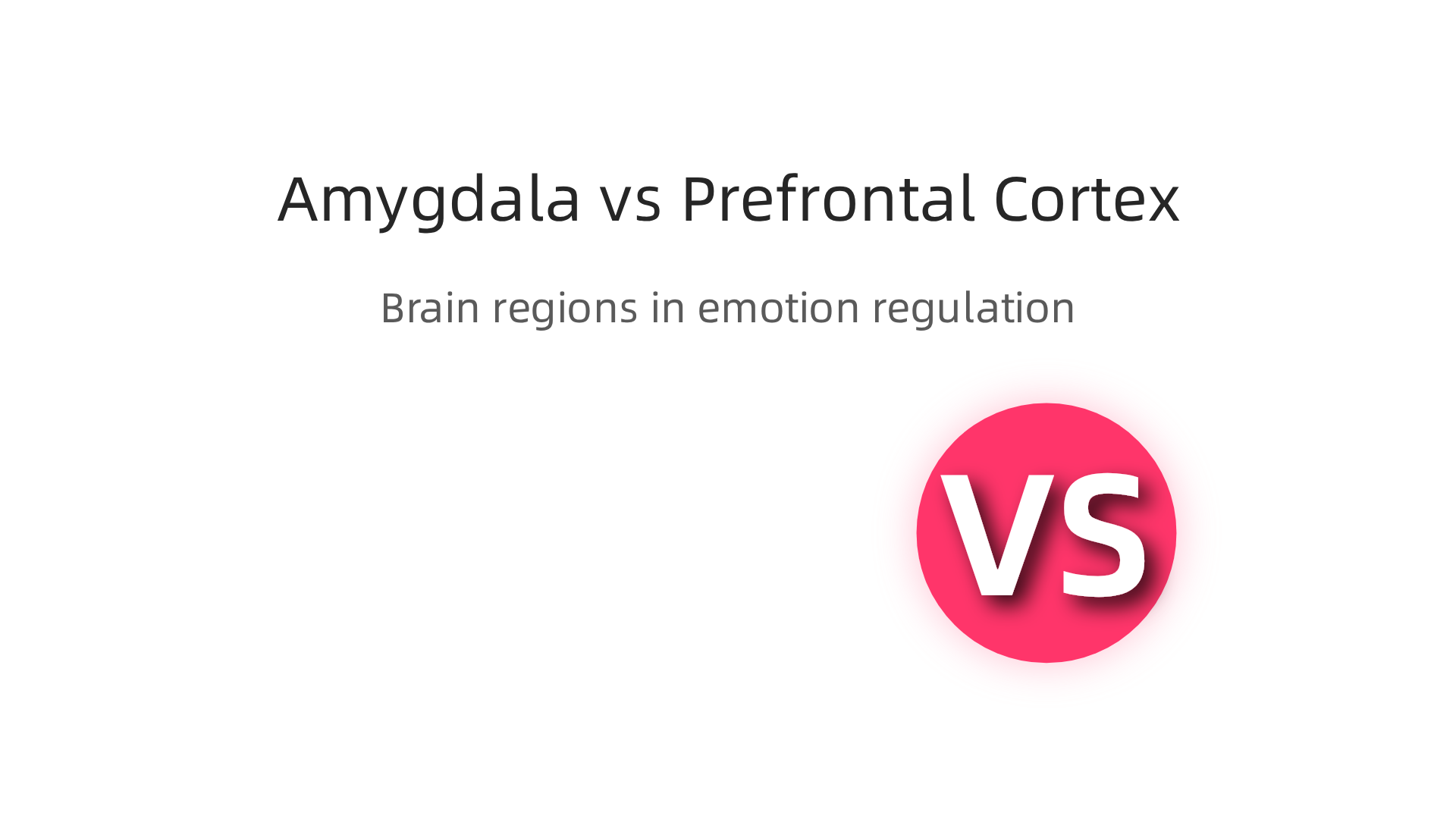 Illustrating the interaction between the amygdala and prefrontal cortex in emotion regulation.