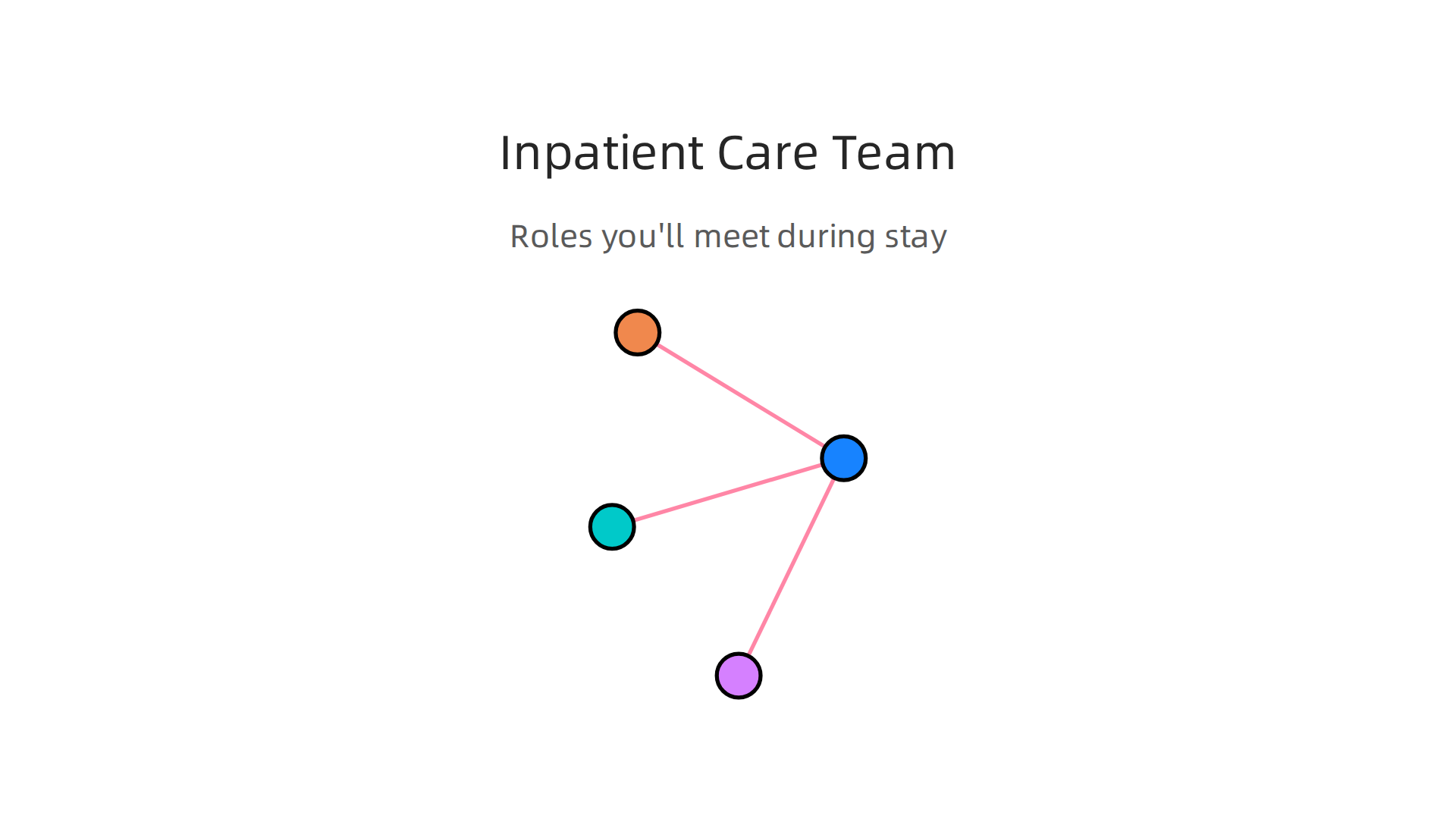 Key roles within an inpatient psychiatric care team providing support.