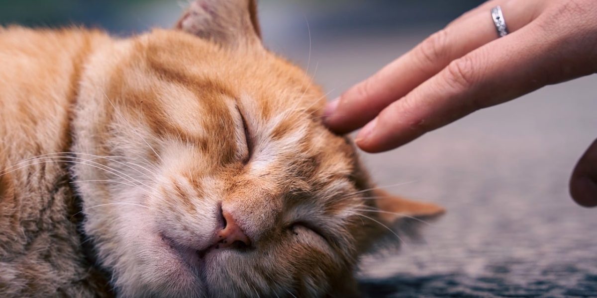 Research suggests that ACT can lead to noticeable improvements in anxiety and depressive symptoms, fostering a sense of calm.