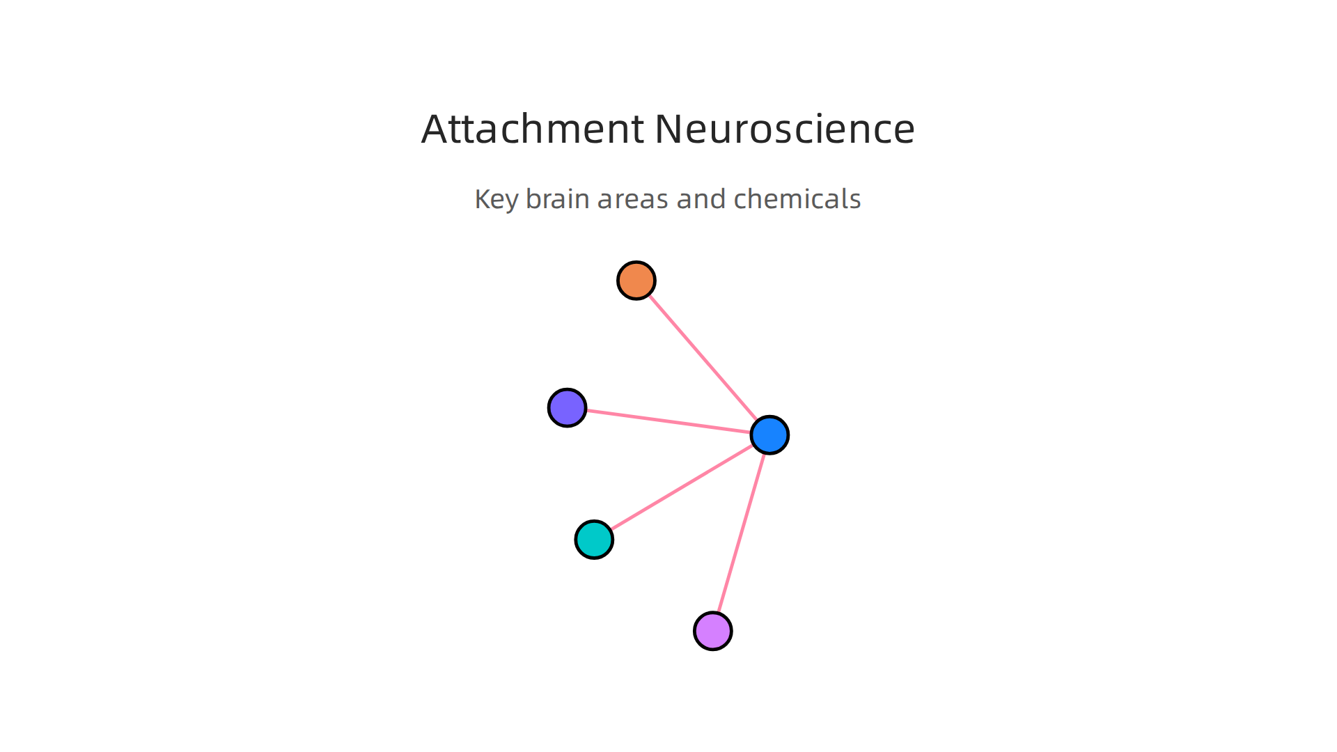 Visual explanation of brain areas and neurochemicals central to attachment formation and repair.