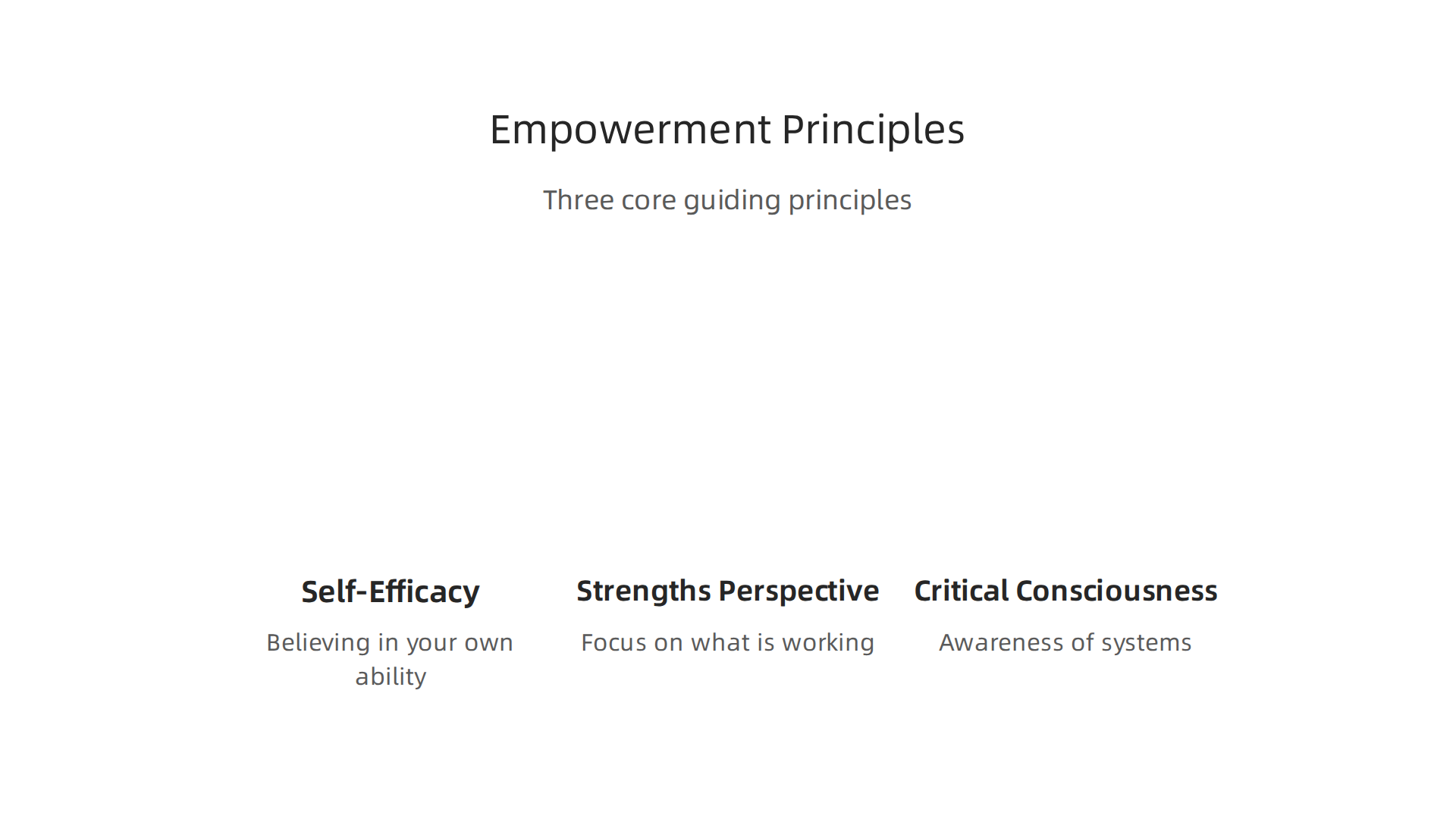 Self-efficacy, the strengths perspective, and critical consciousness are the guiding principles in practice.